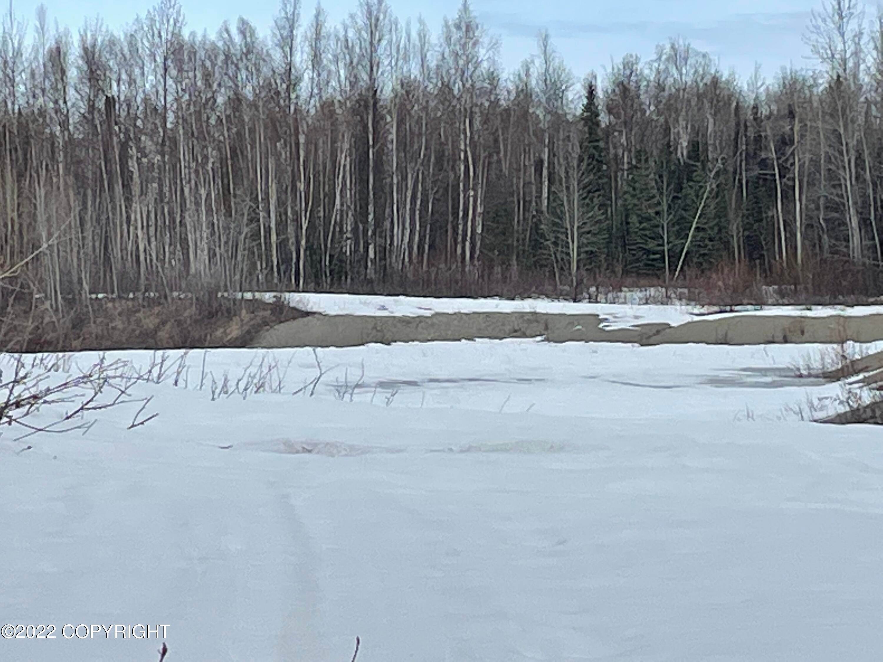 4. Land for Sale at 29393 W Parks Highway Willow, Alaska 99688 United States