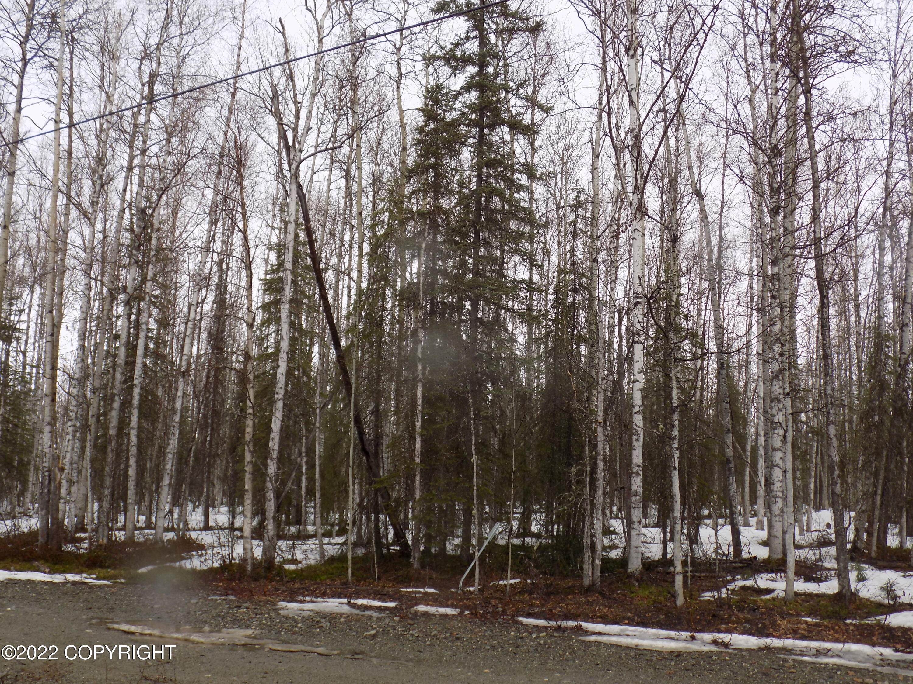 Land for Sale at 24986 Long Lake Road Willow, Alaska 99688 United States