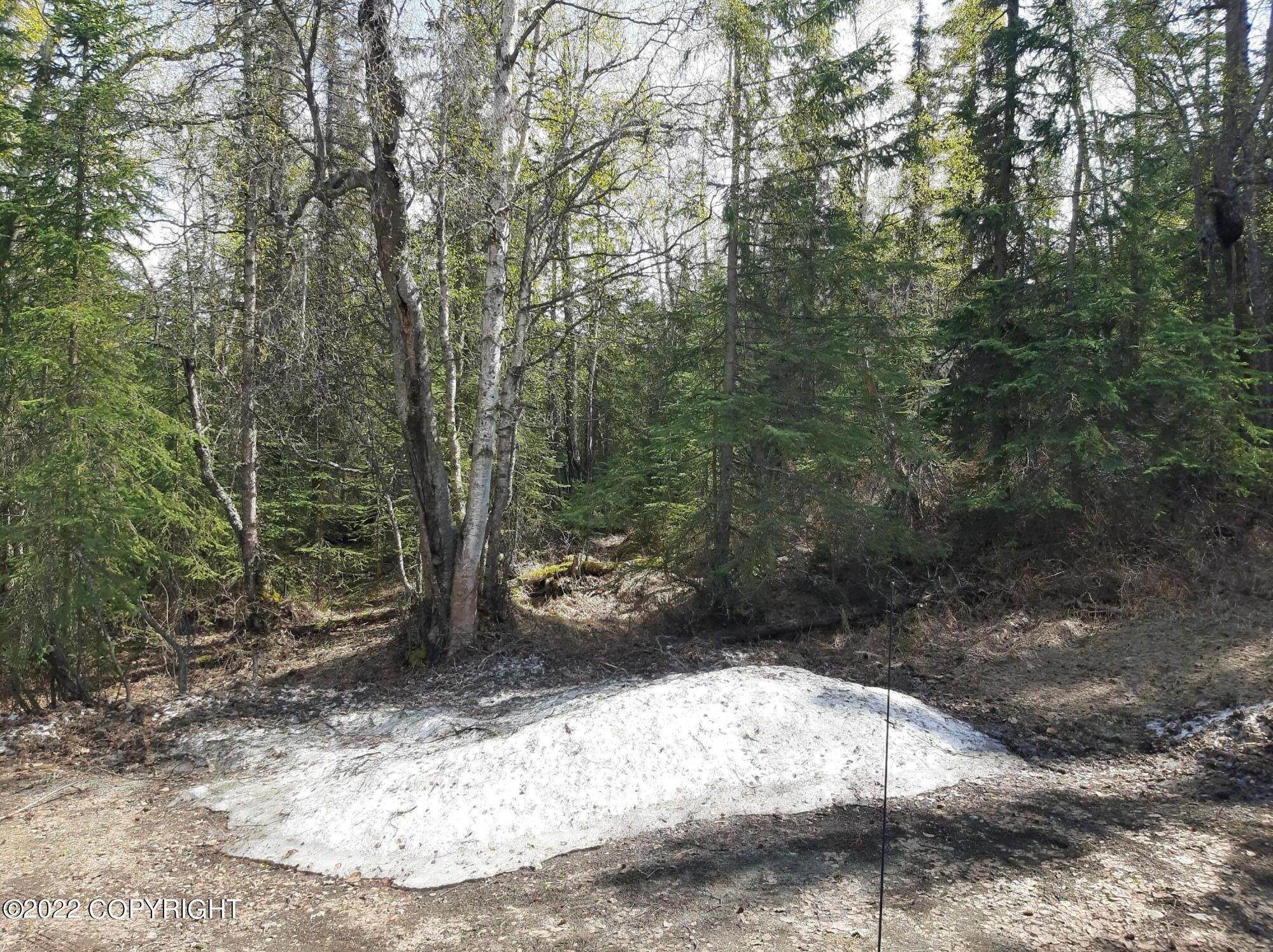 18. Land for Sale at 9925 Birch Road Anchorage, Alaska 99507 United States