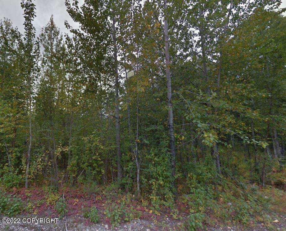 3. Land for Sale at 2398 E Holobinko Road Wasilla, Alaska 99654 United States