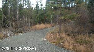 Land for Sale at L5A B2V Jamie Avenue Anchorage, Alaska 99516 United States