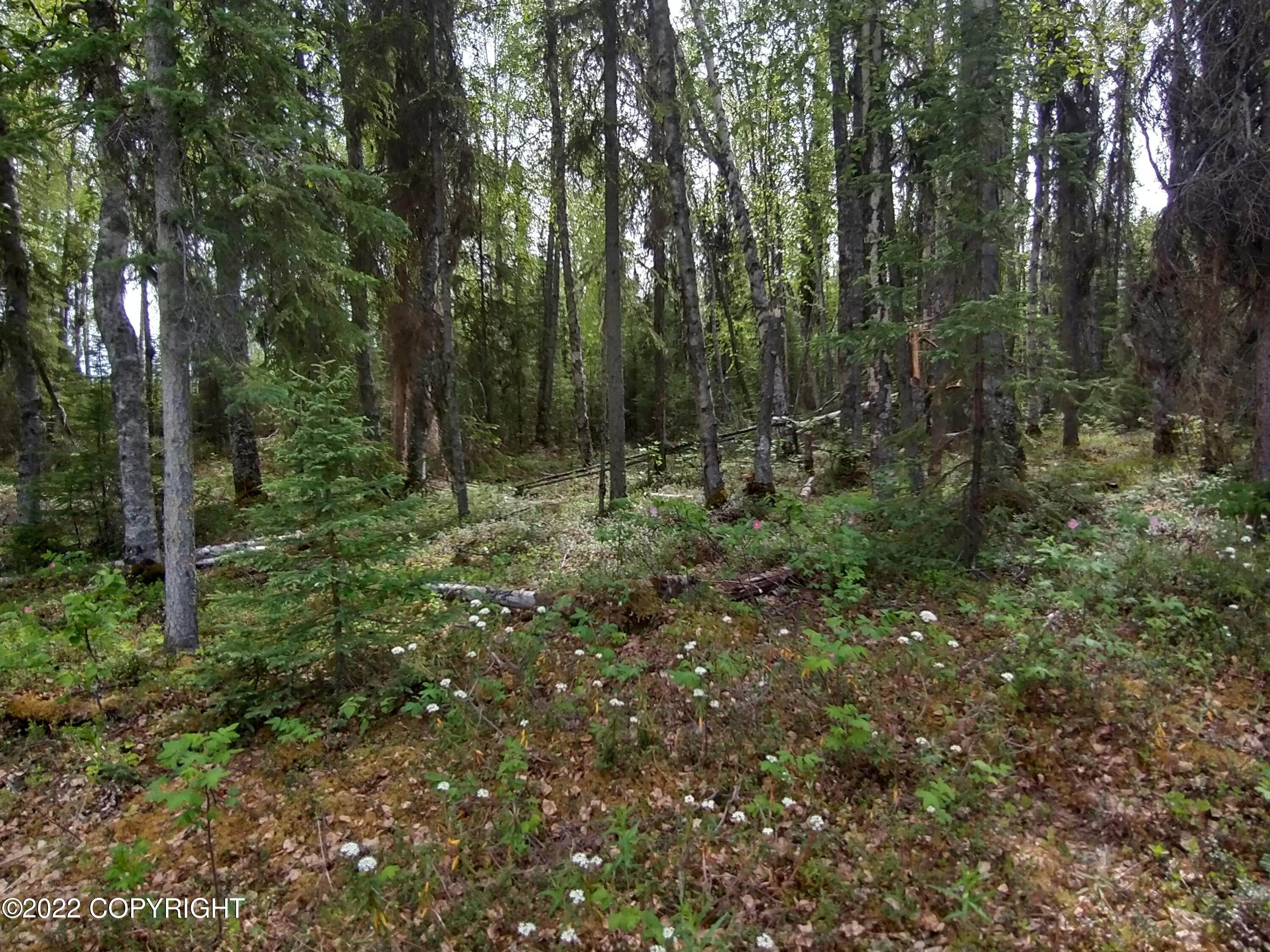 Land for Sale at A 11 S Purinton Parkway Big Lake, Alaska 99652 United States