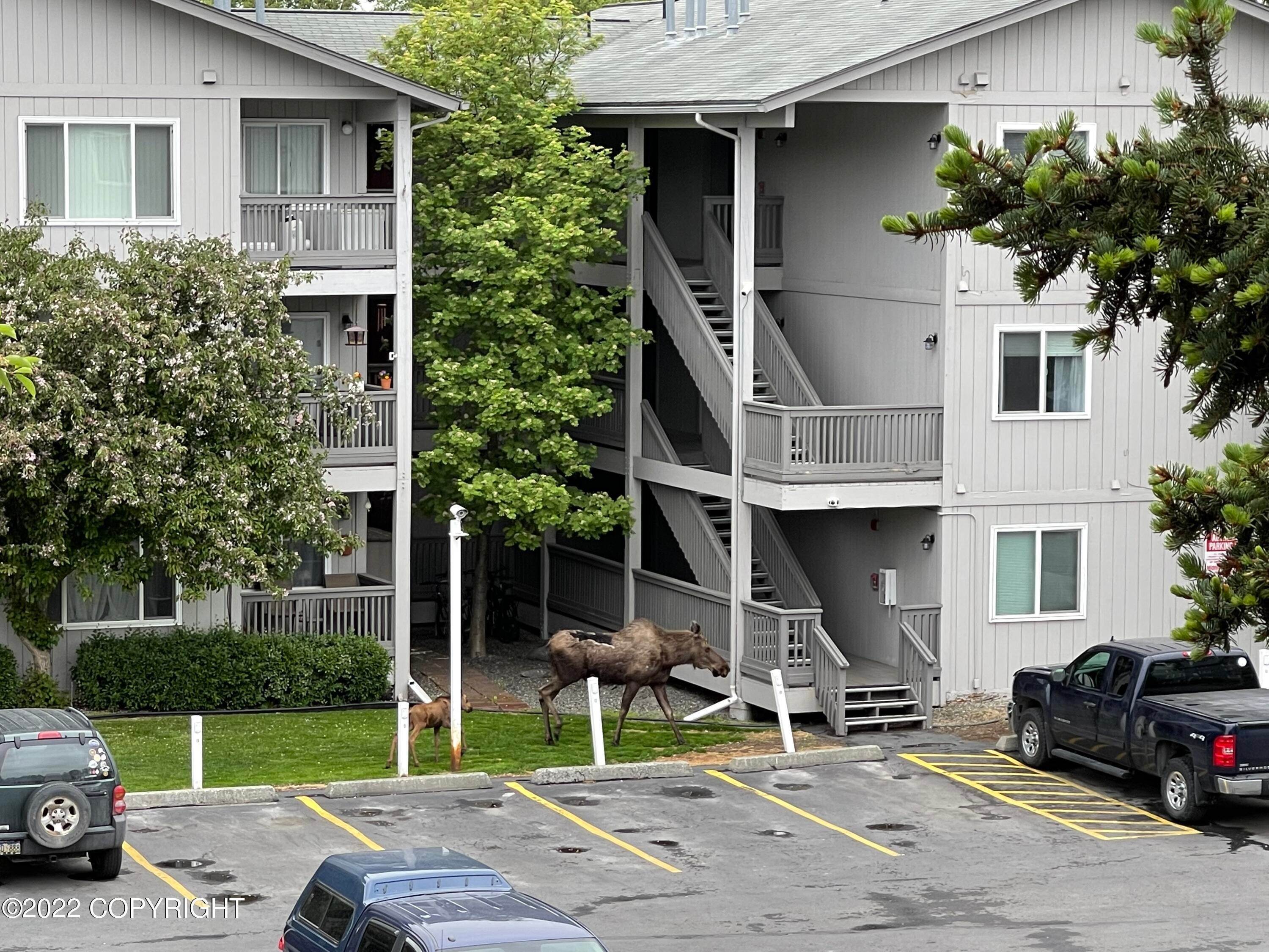 23. Condominiums for Sale at 3401 W 88th Avenue #21A Anchorage, Alaska 99502 United States