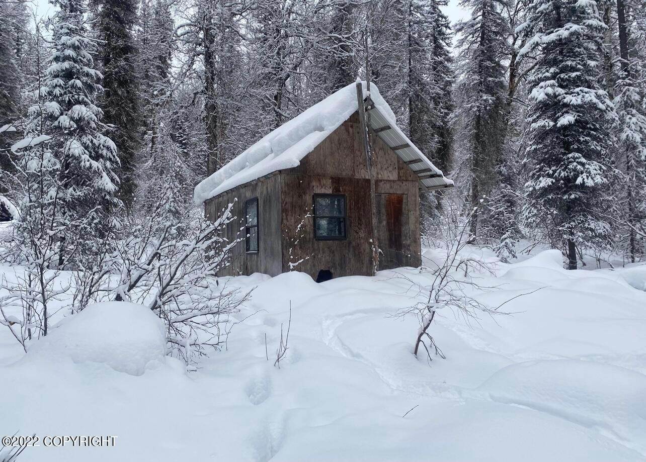 3. Single Family Homes for Sale at Tr A No Road Skwentna, Alaska 99688 United States