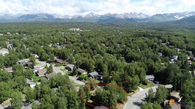 39. Single Family Homes for Sale at 13540 Baywind Drive Anchorage, Alaska 99516 United States