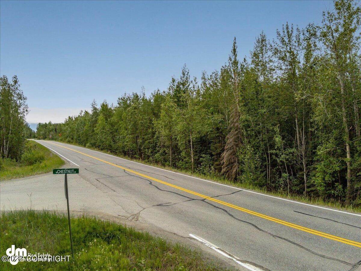 6. Land for Sale at 3790 W Fairview Loop Wasilla, Alaska 99654 United States