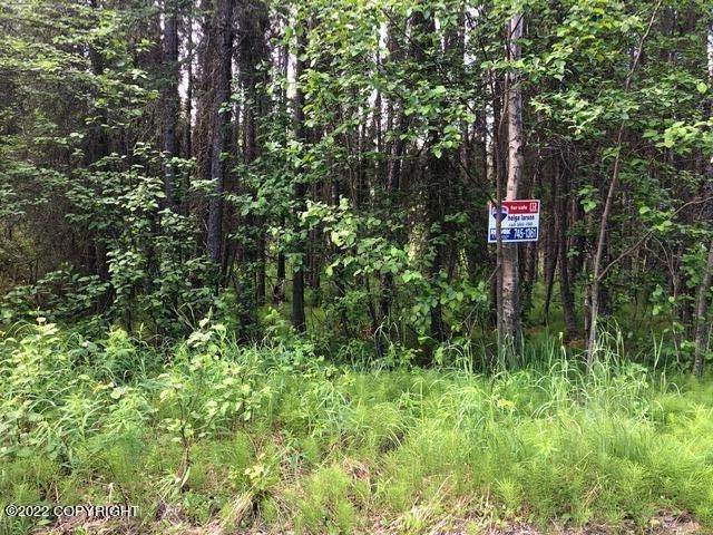 3. Land for Sale at 10996 W Airolo Drive Houston, Alaska 99694 United States
