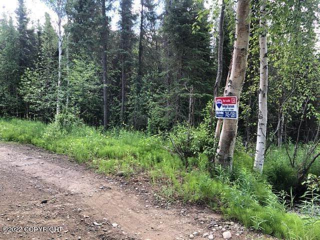 3. Land for Sale at 10936 W Airolo Drive Houston, Alaska 99694 United States