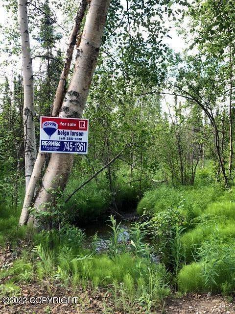 6. Land for Sale at 10936 W Airolo Drive Houston, Alaska 99694 United States