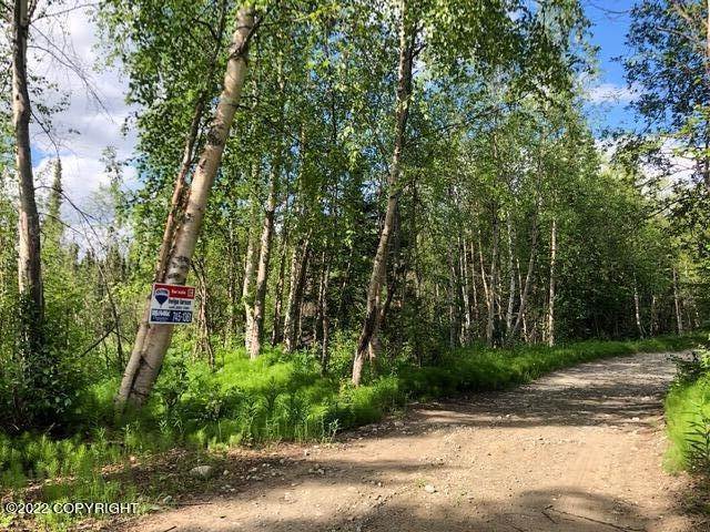 7. Land for Sale at 10936 W Airolo Drive Houston, Alaska 99694 United States