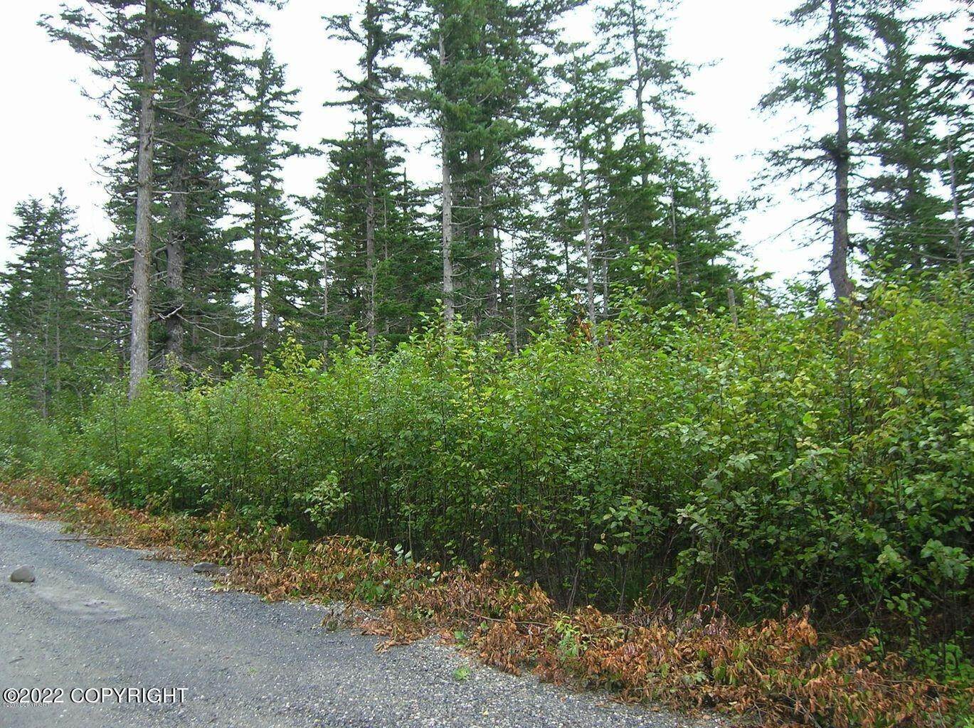 4. Land for Sale at L1 B13 Cove Creek Road Whittier, Alaska 99693 United States