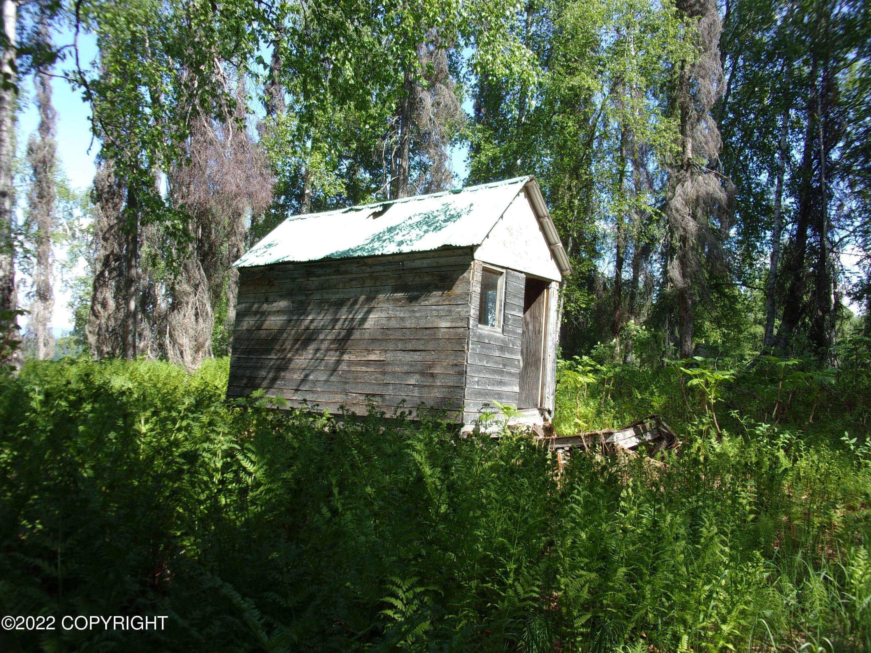 5. Single Family Homes for Sale at Tr A No Road Skwentna, Alaska 99667 United States