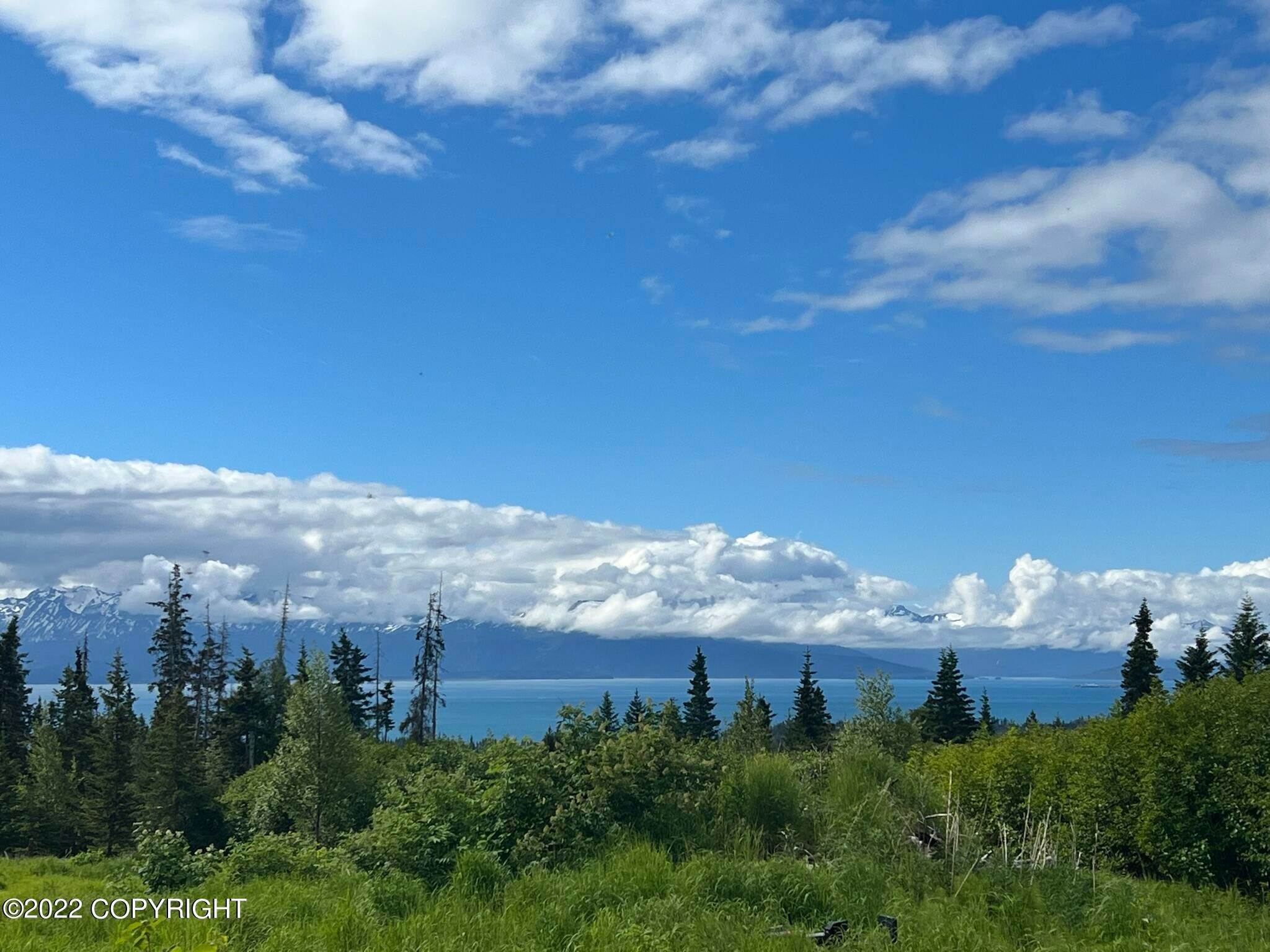 2. Land for Sale at 54870 Rolling Meadows Court Homer, Alaska 99603 United States