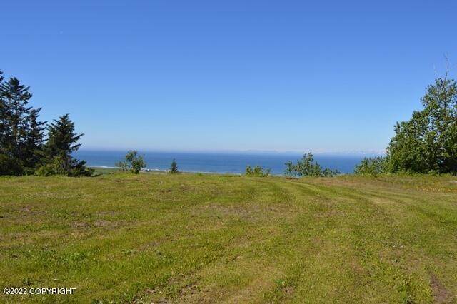 4. Land for Sale at 34101 HMS Resolution Road Anchor Point, Alaska 99556 United States
