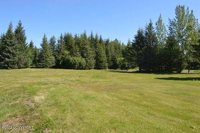 9. Land for Sale at 34101 HMS Resolution Road Anchor Point, Alaska 99556 United States