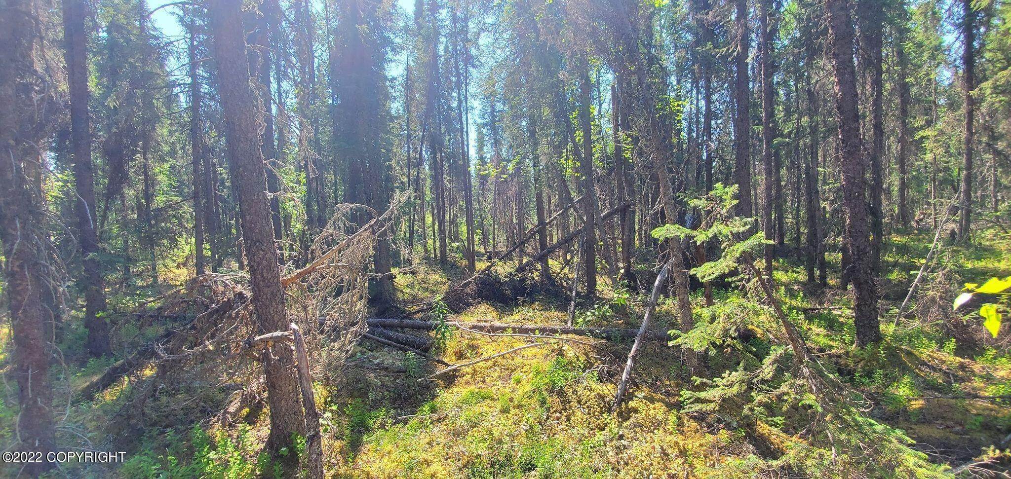 5. Land for Sale at 14300 Wilderness Rim Road Willow, Alaska 99688 United States