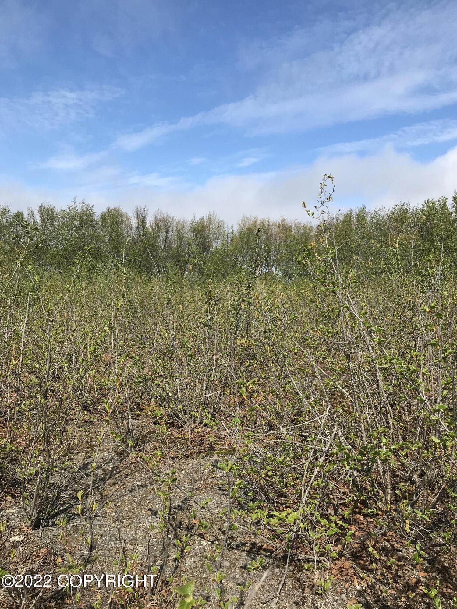 8. Land for Sale at Tr A Sterling Highway Clam Gulch, Alaska 99568 United States