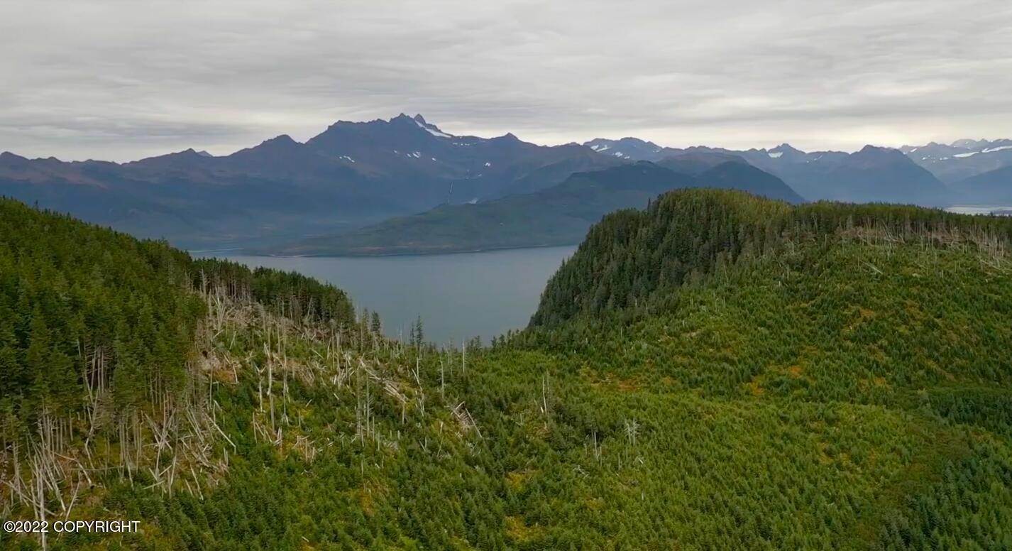 21. Land for Sale at Port Fidalgo Valdez, Alaska 99686 United States