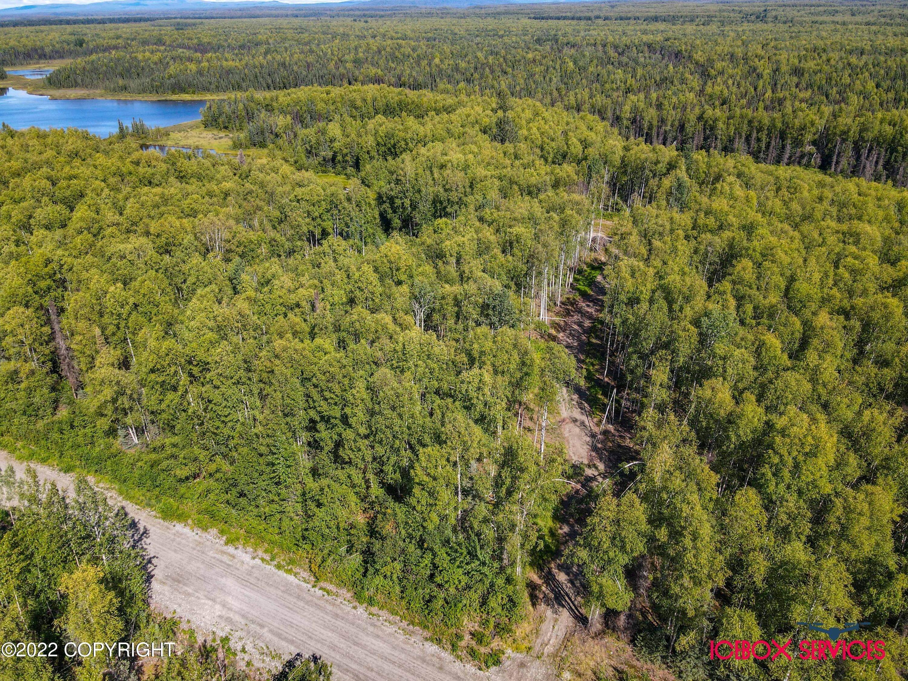 4. Land for Sale at 19022 E Secluded Lake Loop Willow, Alaska 99688 United States