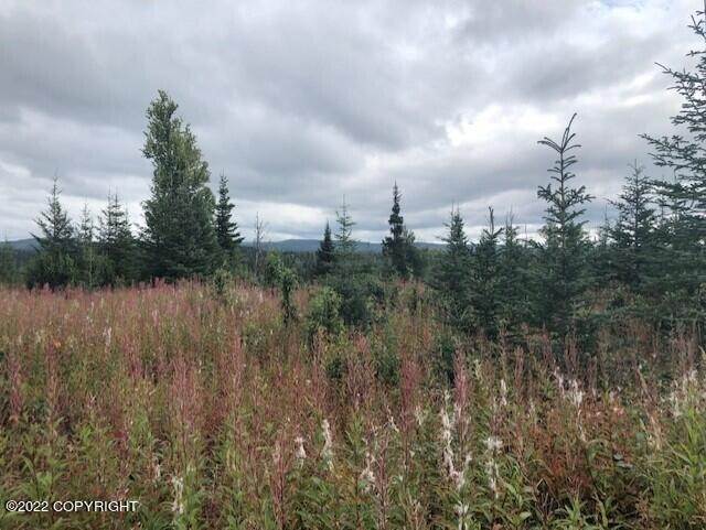 5. Land for Sale at L21 Gateway Road Anchor Point, Alaska 99556 United States