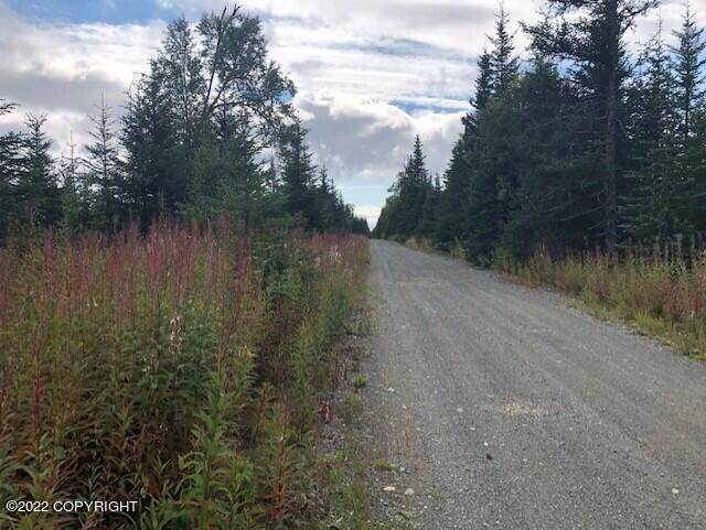 2. Land for Sale at L20 Gateway Road Anchor Point, Alaska 99556 United States