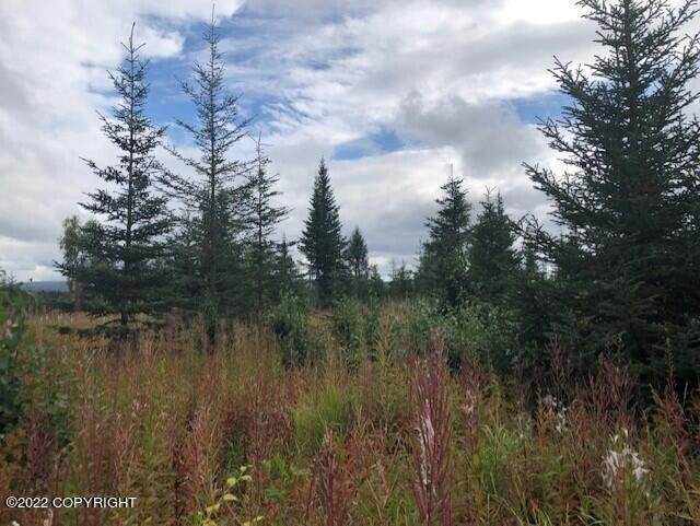 2. Land for Sale at L19 Gateway Road Anchor Point, Alaska 99556 United States