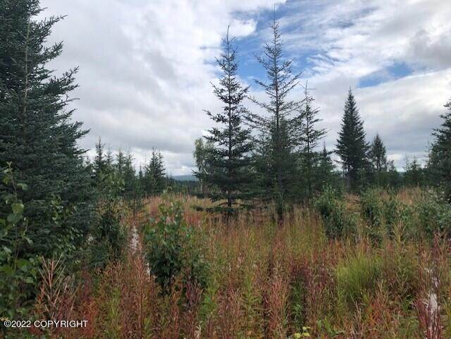 7. Land for Sale at L19 Gateway Road Anchor Point, Alaska 99556 United States
