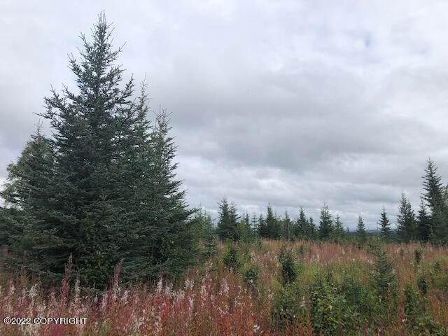 3. Land for Sale at L19 Gateway Road Anchor Point, Alaska 99556 United States