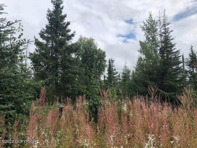 4. Land for Sale at L17 Gateway Road Anchor Point, Alaska 99556 United States