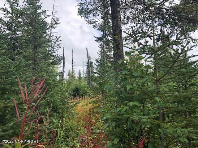 Land for Sale at L15 Gateway Road Anchor Point, Alaska 99556 United States