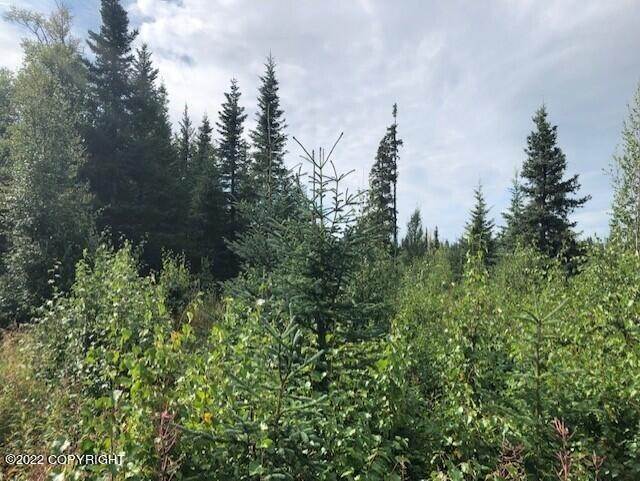 2. Land for Sale at L13 Gateway Road Anchor Point, Alaska 99556 United States