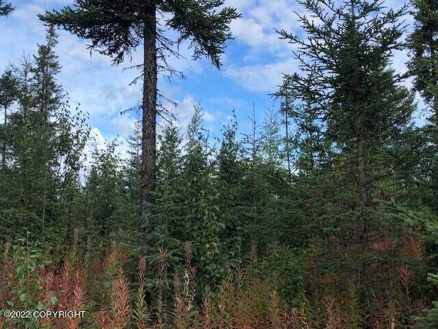 5. Land for Sale at L1 Gateway Road Anchor Point, Alaska 99556 United States