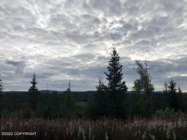 3. Land for Sale at L2 Gateway Road Anchor Point, Alaska 99556 United States