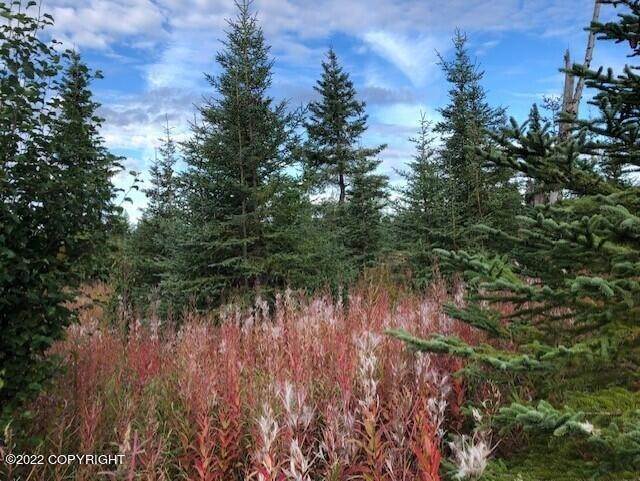 Land for Sale at L8 Gateway Road Anchor Point, Alaska 99556 United States
