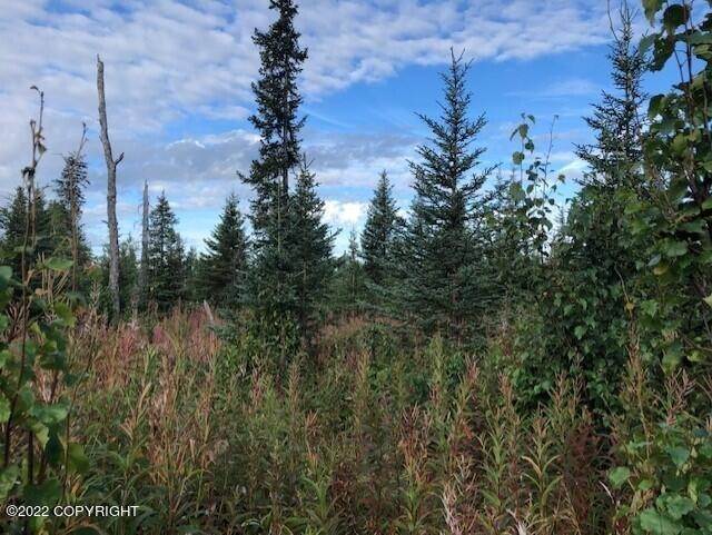 6. Land for Sale at L10 Gateway Road Anchor Point, Alaska 99556 United States