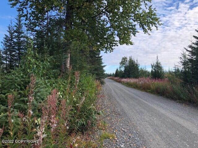 3. Land for Sale at L10 Gateway Road Anchor Point, Alaska 99556 United States