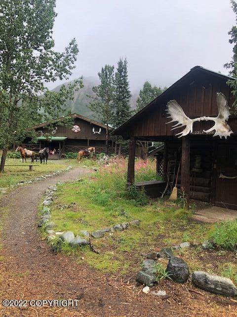 13. Commercial for Sale at No Road Healy, Alaska 99743 United States