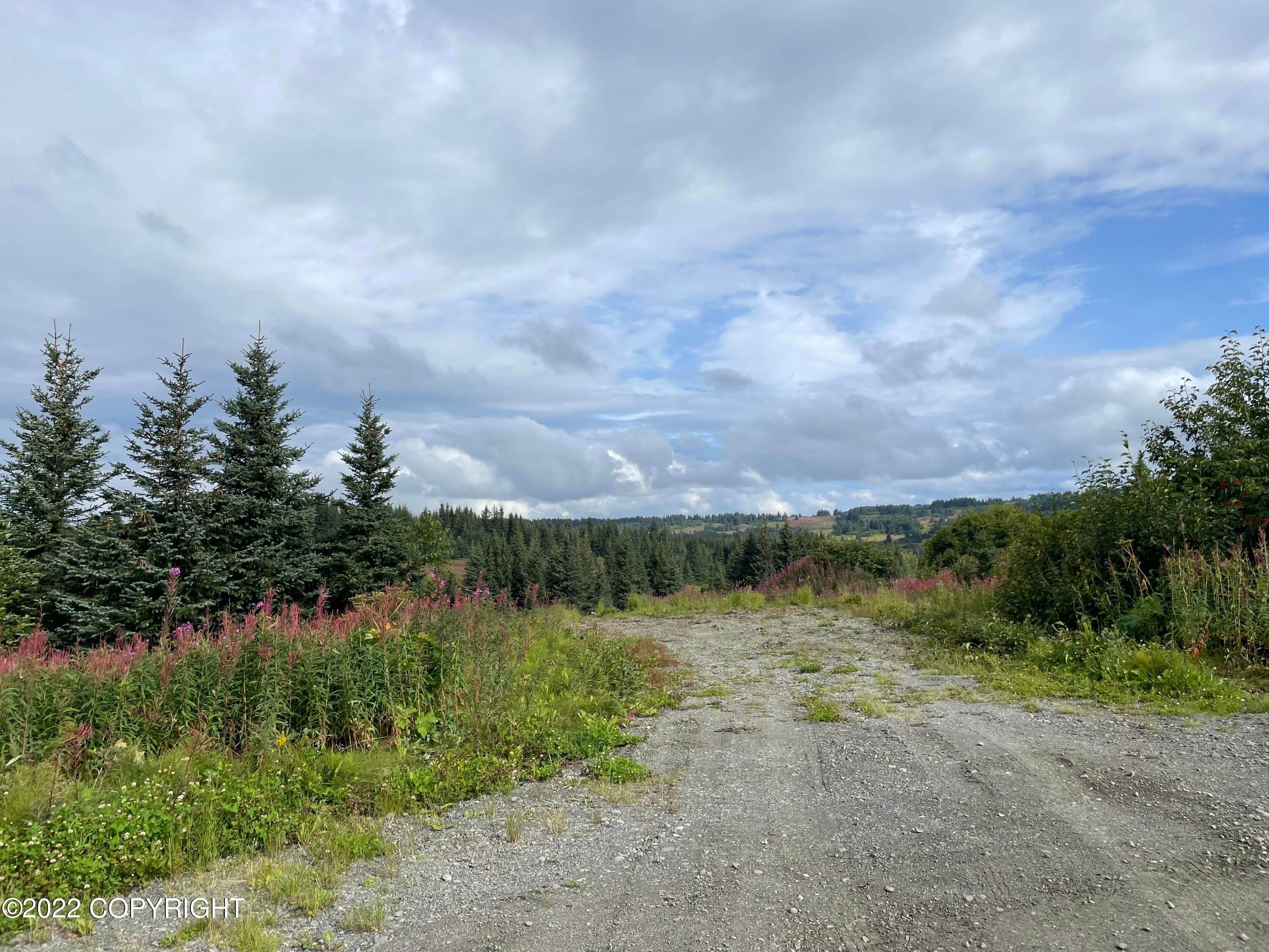 Land for Sale at 495 Cozy Cove Drive Homer, Alaska 99603 United States