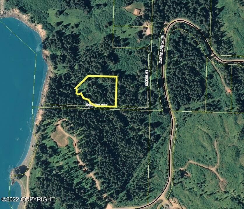 Land for Sale at Tract A Dovers Avenue Seldovia, Alaska 99663 United States