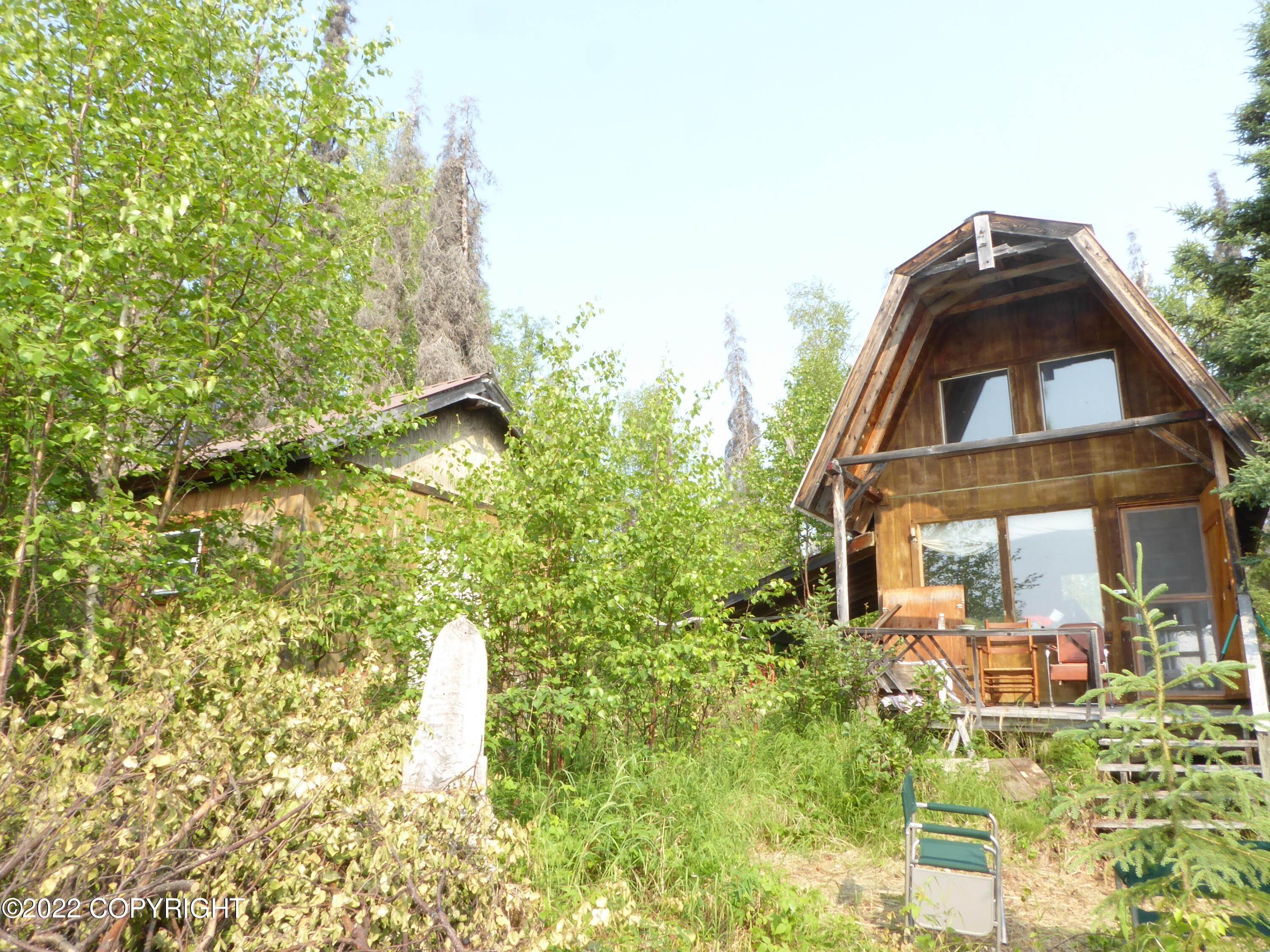 Single Family Homes por un Venta en Tr B No Road Little Bulchitna Other Areas, Alaska 99000 Estados Unidos