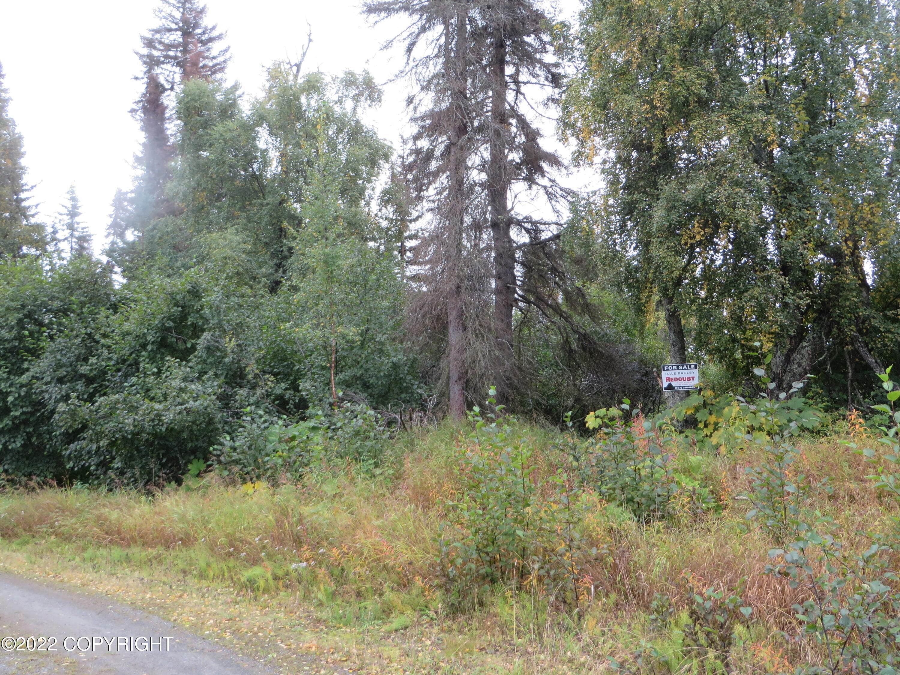 2. Land for Sale at 28030 Spruce Park Circle Kasilof, Alaska 99610 United States