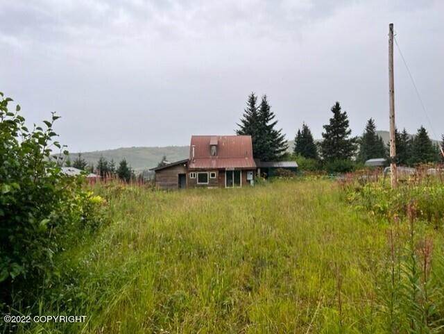28. Single Family Homes for Sale at 35565 Beaver Creek Road Homer, Alaska 99603 United States