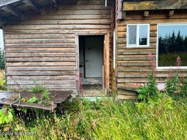 15. Single Family Homes for Sale at 35565 Beaver Creek Road Homer, Alaska 99603 United States