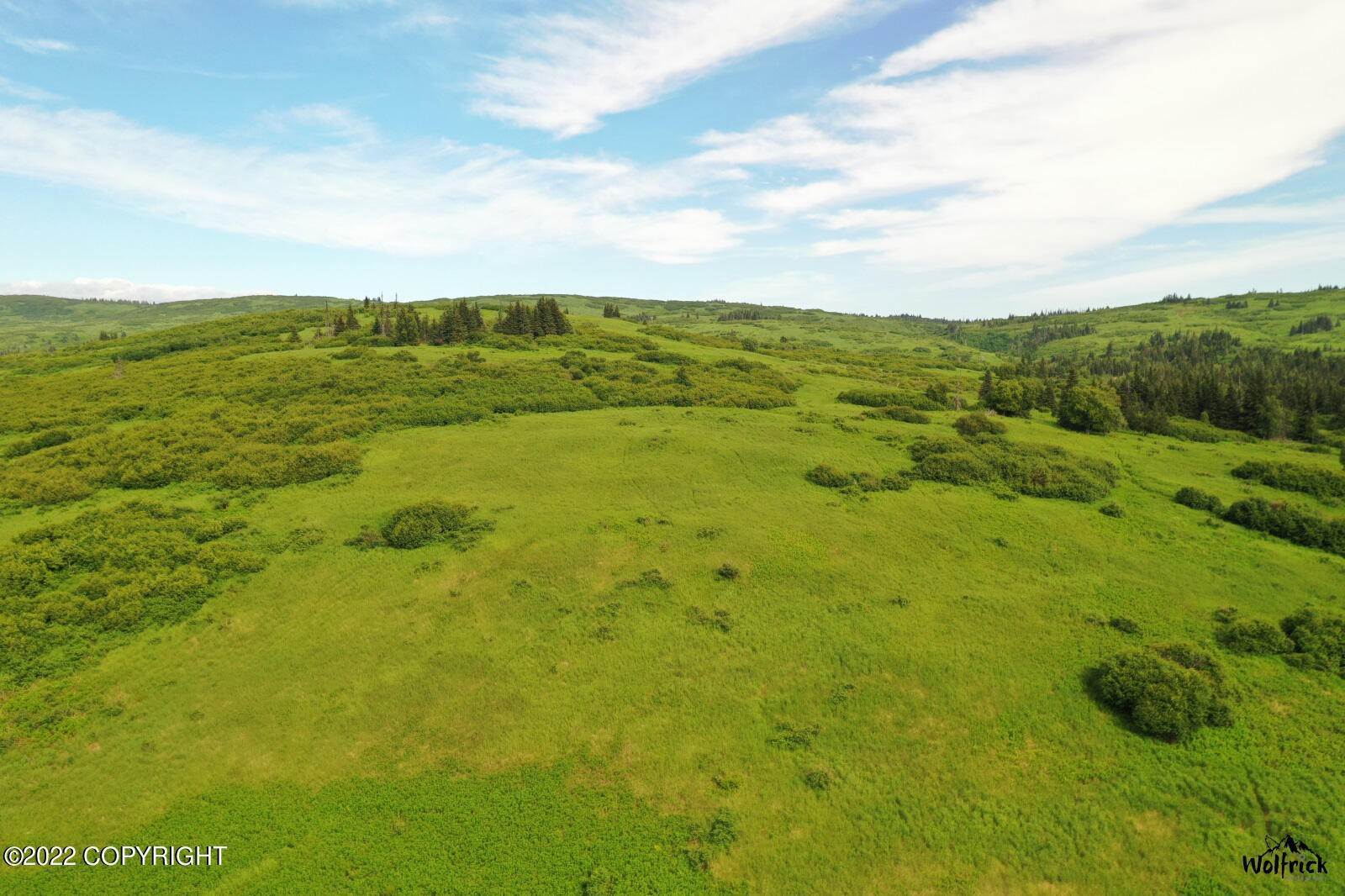 土地,用地 为 销售 在 E2 Alaskan Wildwood Ranch(r) Nikolaevsk, 阿拉斯加州 99556 美国