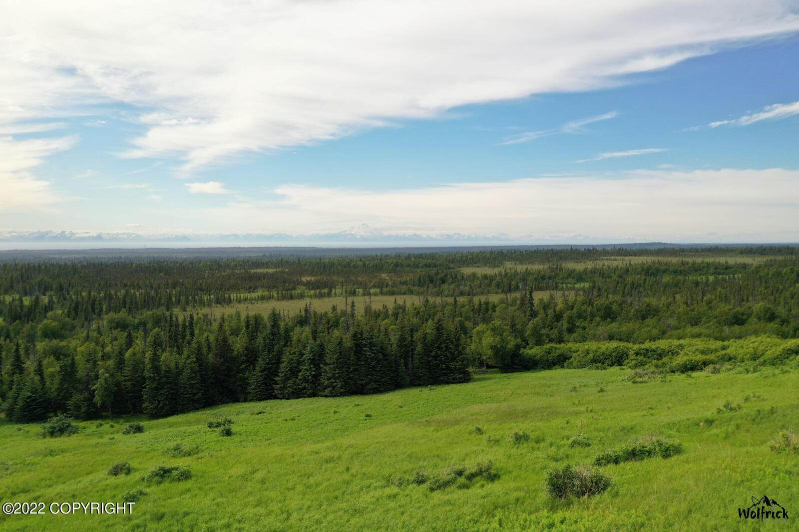 土地,用地 为 销售 在 E5 Alaskan Wildwood Ranch(r) Nikolaevsk, 阿拉斯加州 99556 美国