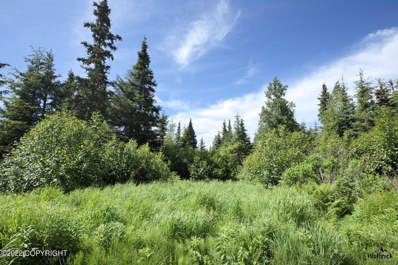 土地,用地 为 销售 在 W1 Alaskan Wildwood Ranch(r) Nikolaevsk, 阿拉斯加州 99556 美国