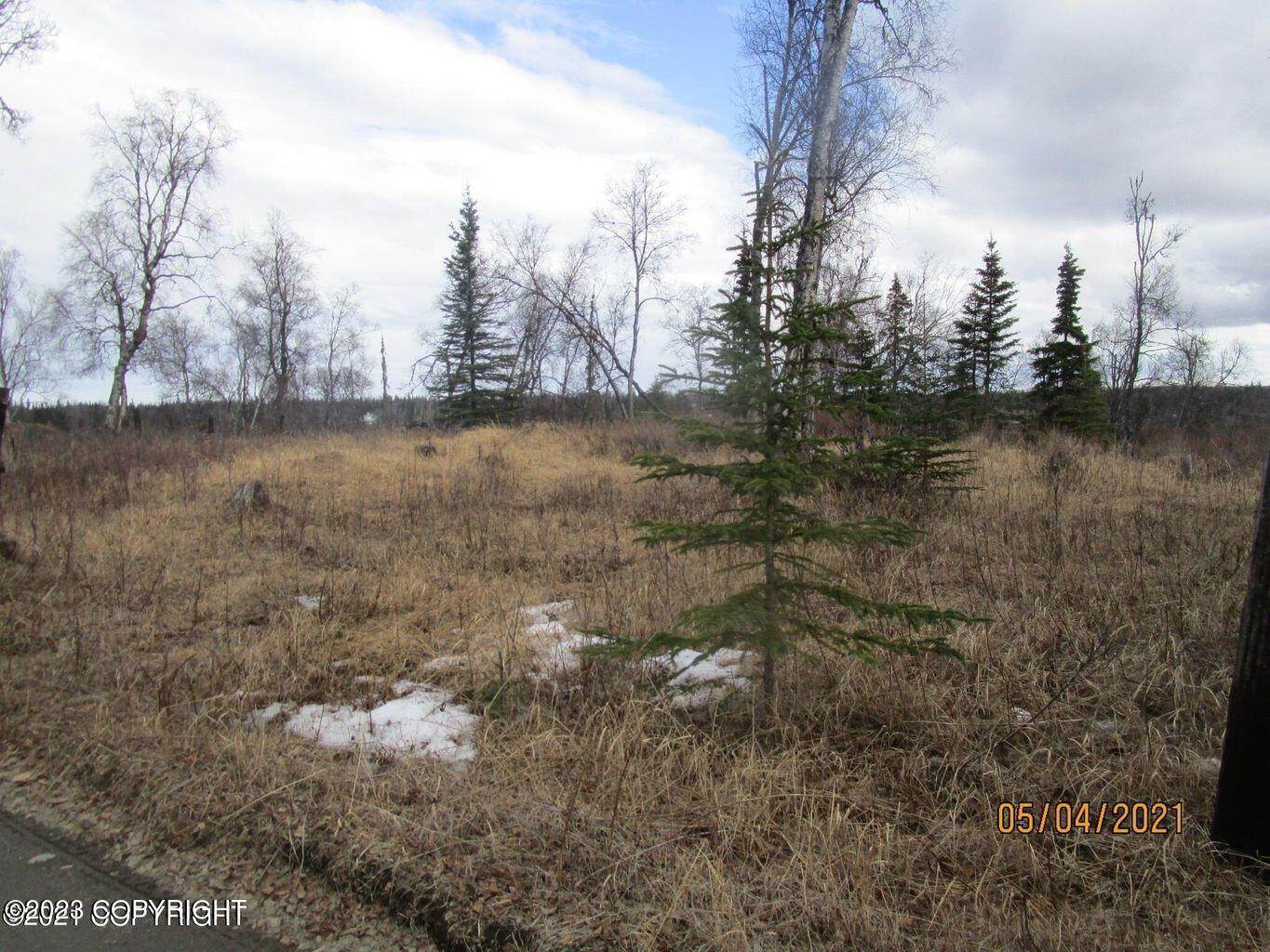 1. Land for Sale at Tract B1-B Oil Well Road Ninilchik, Alaska 99639 United States