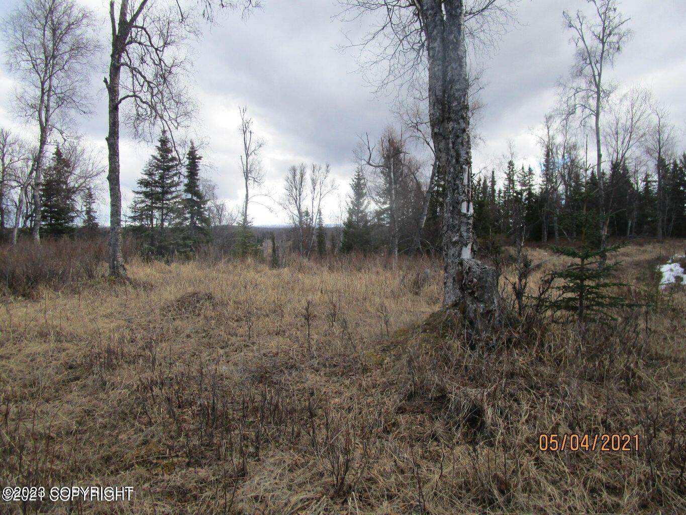 2. Land for Sale at Tract B1-B Oil Well Road Ninilchik, Alaska 99639 United States