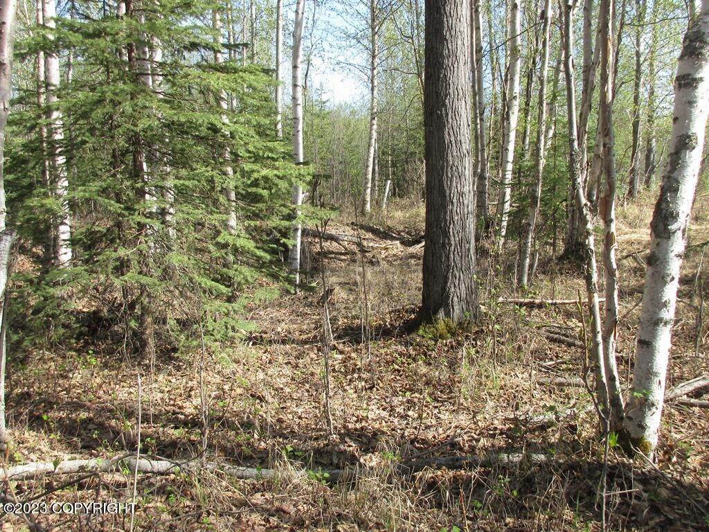 3. Land for Sale at Tr A N Meadow Lakes Loop Wasilla, Alaska 99623 United States