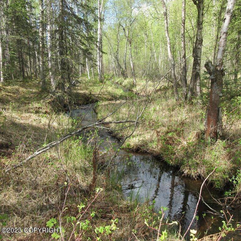 2. Land for Sale at Tr A N Meadow Lakes Loop Wasilla, Alaska 99623 United States